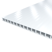 Corrugated Plastic Sheets - 24 x 36 inches - Acoustic Foam Backing