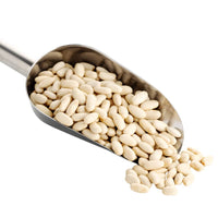Navy Beans