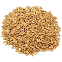 Einkorn Berries, Organic