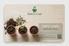 Seeds In A Cup® Gift Cards for Plant Lovers - The Ideal Gift Option