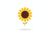 Sunflower Grow Kit | Grow Giant Sunflowers from Seed | Seeds In A Cup®
