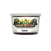Cumin Grow Kit | Grow Fresh Cumin from Seed | Seeds In A Cup®