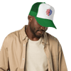 Cyber Shield Identity Cap