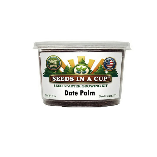 Date Palm Grow Kit | Grow Date Palm from Seed | Seeds In A Cup®