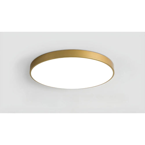 Dimmable Smart Ceiling Lamp with Remote - Bedroom & Living Room LED Light