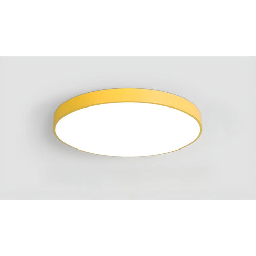 Dimmable Smart Ceiling Lamp with Remote - Bedroom & Living Room LED Light