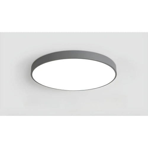Dimmable Smart Ceiling Lamp with Remote - Bedroom & Living Room LED Light