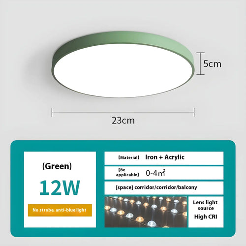 Dimmable Smart Ceiling Lamp with Remote - Bedroom & Living Room LED Light