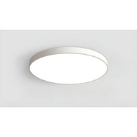 Dimmable Smart Ceiling Lamp with Remote - Bedroom & Living Room LED Light