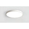 White / Electrode-Less Dimming / 30 CM