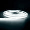 6500K True White / 12V 480 Lamp