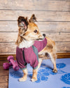 Dog Helios ® 'Eboneflow' Mediumweight 4-Way-Stretch Flexible And Breathable Performance Dog Yoga T-Shirt