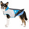 X-Small / Blue, Charcoal Grey, White