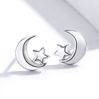 S925 Sterling Silver Earrings for Women