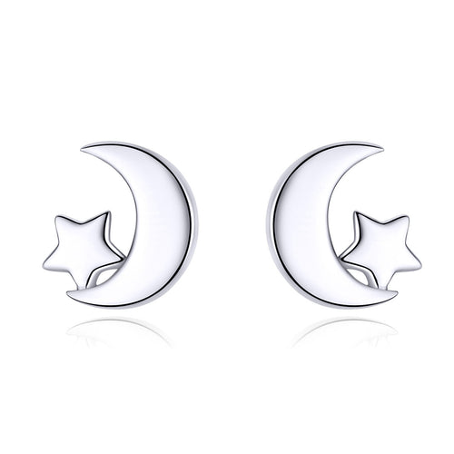 S925 Sterling Silver Earrings for Women