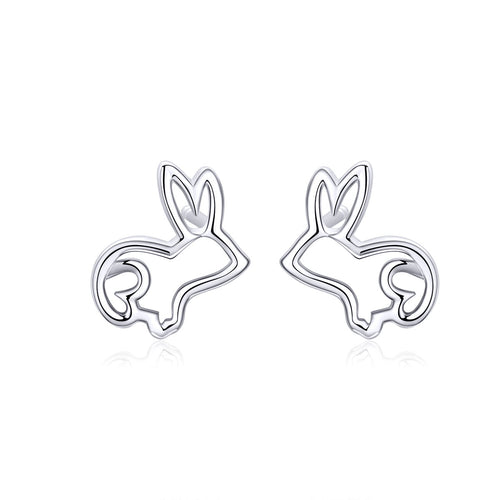 S925 Sterling Silver Plated Platinum Earrings