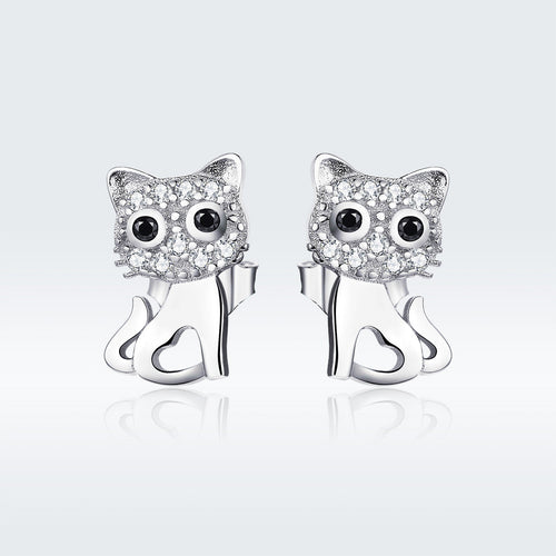 S925 Sterling Silver Earrings for Women