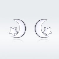 S925 Sterling Silver Earrings for Women