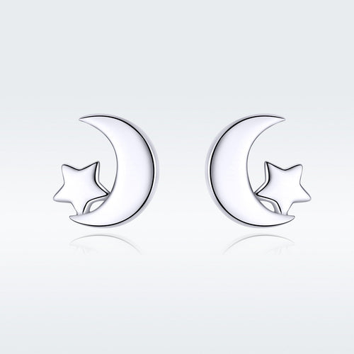 S925 Sterling Silver Earrings for Women