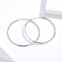 S925 Sterling Silver Earrings for Women