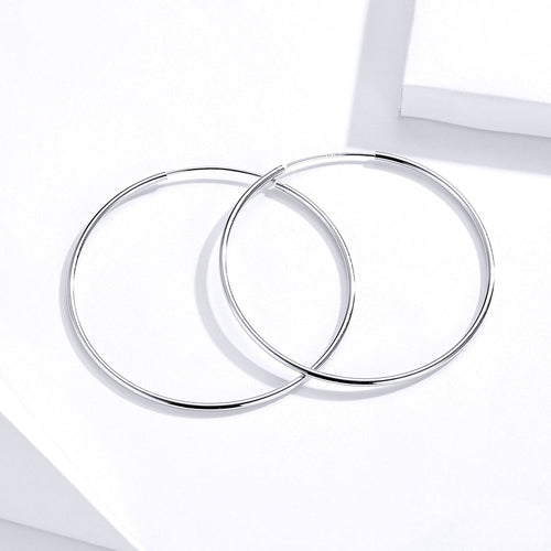 S925 Sterling Silver Earrings for Women