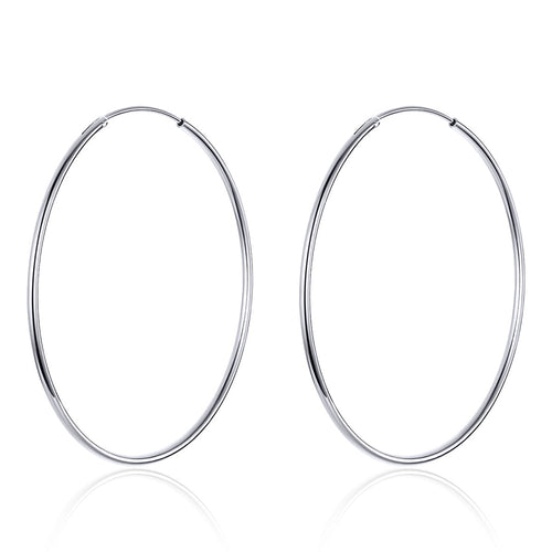 S925 Sterling Silver Earrings for Women