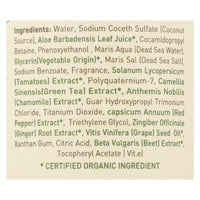 Ecolove Shampoo - Red Vegetables Shampoofor Normal To Oily Hair - Case Of 1 - 17.6 Fl Oz. EasyOptionXY LLC