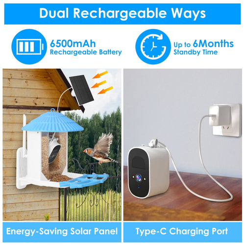 Solar Powered Smart Bird Feeder 2K Bird Watching Camera With PIR Motion AI Birds Species Identify Two-Way Audio Real-Time App Notification Capture Video Gift For Bird Lover
