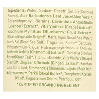 Ecolove Shampoo - Purple Fruit Shampoo For Colored And Very Dry Hair - Case Of 1 - 17.6 Fl Oz. EasyOptionXY LLC