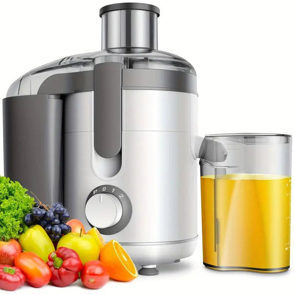 GDOR Centrifugal Juicer with 2.5" Feed Chute, 2 Speed Settings, 15 oz, 350 Watts, B PA F ree EasyOptionXY LLC