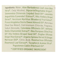 Ecolove Conditioner - Purple Fruit Conditioner For Colored And Very Dry Hair - Case Of 1 - 17.6 Fl Oz. EasyOptionXY LLC