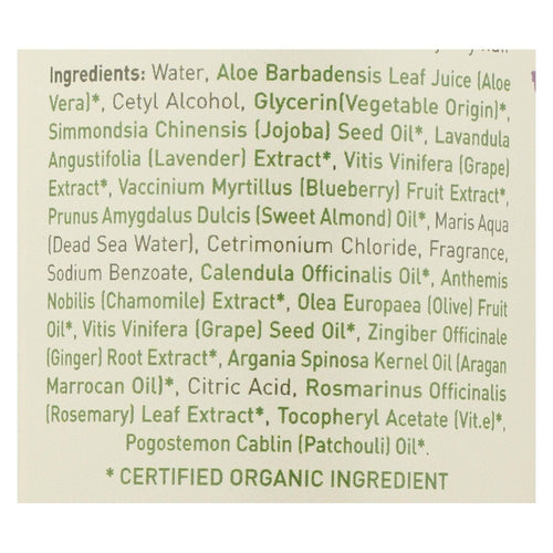 Ecolove Conditioner - Purple Fruit Conditioner For Colored And Very Dry Hair - Case Of 1 - 17.6 Fl Oz. EasyOptionXY LLC