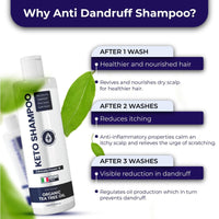 Anti Dandruff Shampoo Sulfate Free Shampoo Medicated Anti Fungal Shampoo For Itchy Flaky Dry Scalp Hair Growth Folliculitis Treatment Seborrheic Dermatitis Shampoo with Tea Tree Oil EasyOptionXY LLC