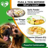 Flea and Tick Prevention Chewable Pills for Dogs Revolution Oral Flea Treatment for Pets & Complex Multivitamin Natural Pest Control Defense Chews Small Tablets 10 Oz EasyOptionXY LLC