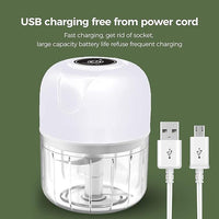 Mini Electric Garlic Chopper, Food Processors Small, Garlic Mincer Crusher Vegetable Chopper, Meat Grinder Masher Kitchen Tool, Portable Blender for Onion, Ginger, Veggie, Spice, Herb, Fruit, Nuts EasyOptionXY LLC