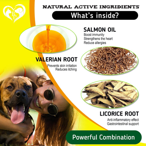 Dog Anti Itch Allergy Relief Chews Dry Itchy Skin Hot Spot Treatment with Probiotic Omega 3 Oil Immune Supplement Seasonal Allergies Medicine for Dogs Puppy 140 Bites
