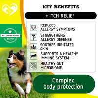 Dog Anti Itch Allergy Relief Chews Dry Itchy Skin Hot Spot Treatment with Probiotic Omega 3 Oil Immune Supplement Seasonal Allergies Medicine for Dogs Puppy 140 Bites