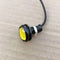 Yellow / 12V