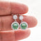 100Green / silver