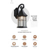 Elegant Sand Black Wall Lamp Decorative with LED and Bubble Glass Finish