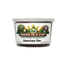 American Elm Grow Kit | Grow Elm Tree from Seed | Seeds In A Cup®