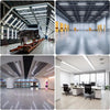 Energy-Efficient LED Light Tubes - 5000K Daylight Brightness