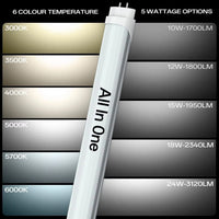 Energy-Efficient LED Light Tubes - 5000K Daylight Brightness