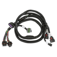 GM Gen V Gdi Late, Sub Harness