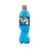 Fanta Shokata – Elderberry Lemon Flavored Soda 500mL Bottle (Bosnia)