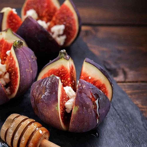 Ficus Carica Fig - 100 Seeds - Sweet Fruit Shrub Tree South Mountain Nursery