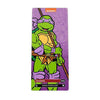 FiGPiN Enamel Pin - Teenage Mutant Ninja Turtles - Select Figure(s) ToyShnip