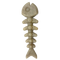 Fish Bone Nylon Chew Toy - Brown