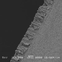 GVS 1215056 Hydrophilic PCTE Filter Membrane 0.1 µm, 19 mm (100/Pack)