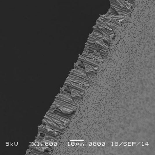 GVS 1215056 Hydrophilic PCTE Filter Membrane 0.1 µm, 19 mm (100/Pack)